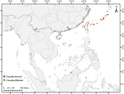 Comparative analyses of eight complete plastid genomes of two hemiparasitic Cassytha vines in the family Lauraceae